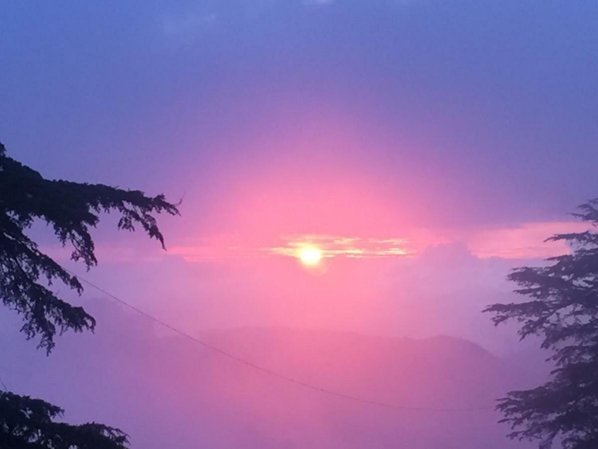 Simla View Bed and Breakfast Exterior foto